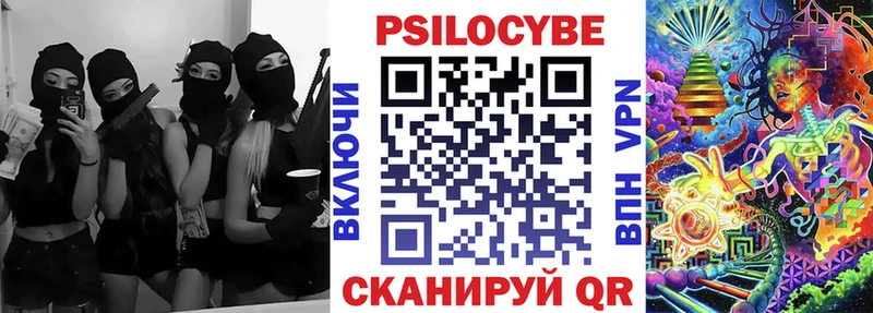 Псилоцибиновые грибы мицелий  ссылка на мегу tor  Махачкала  купить наркотики сайты 